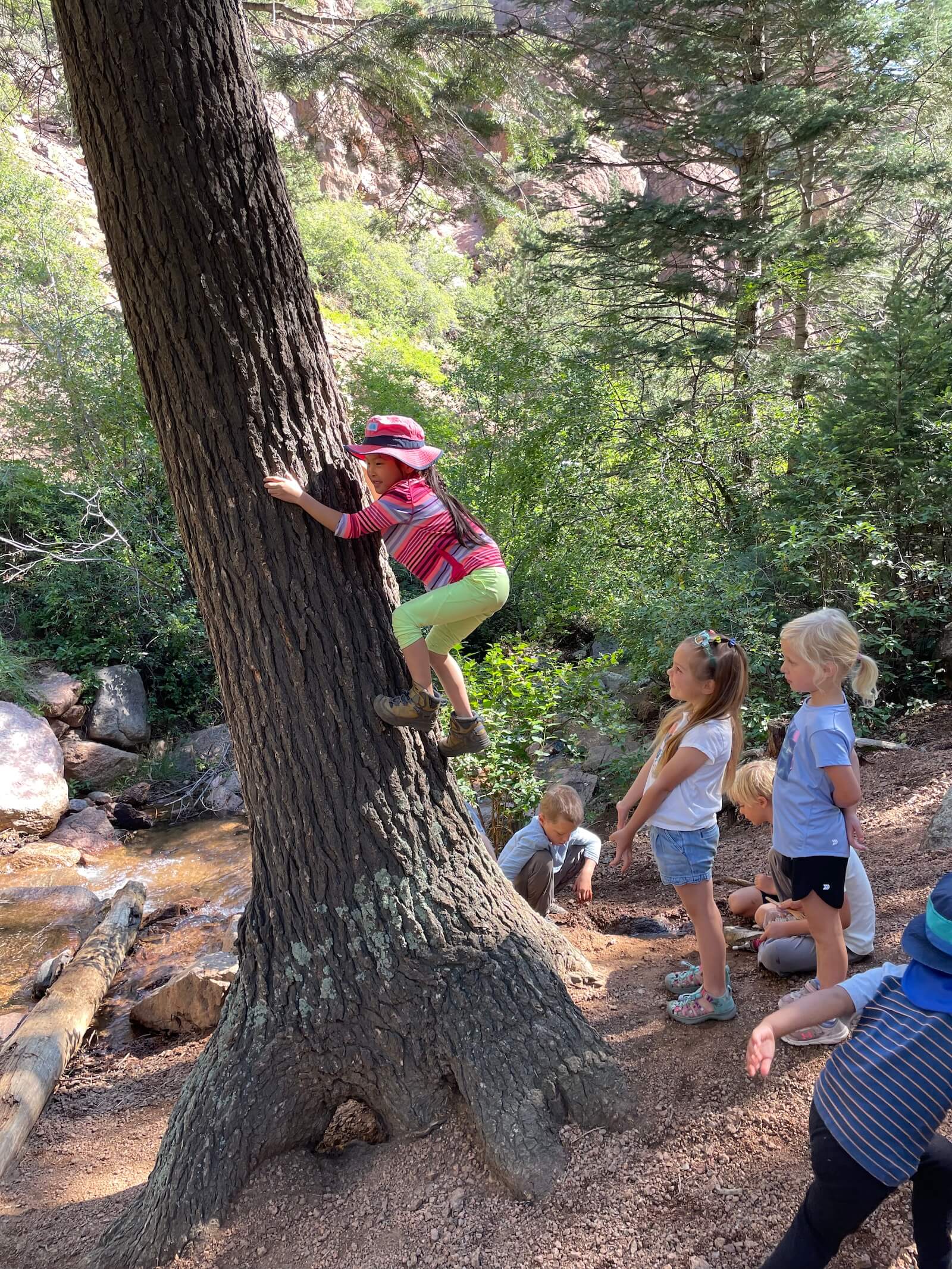 nature immersion program for children and forest school Colorado Springs outdoor kids program