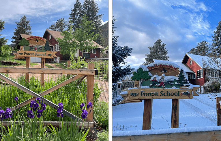Real Red Riding Hoods Homeschool Enrichment Music Arts Science Colorado Springs Monument Palmer Lake Larkspur Castle Rock
