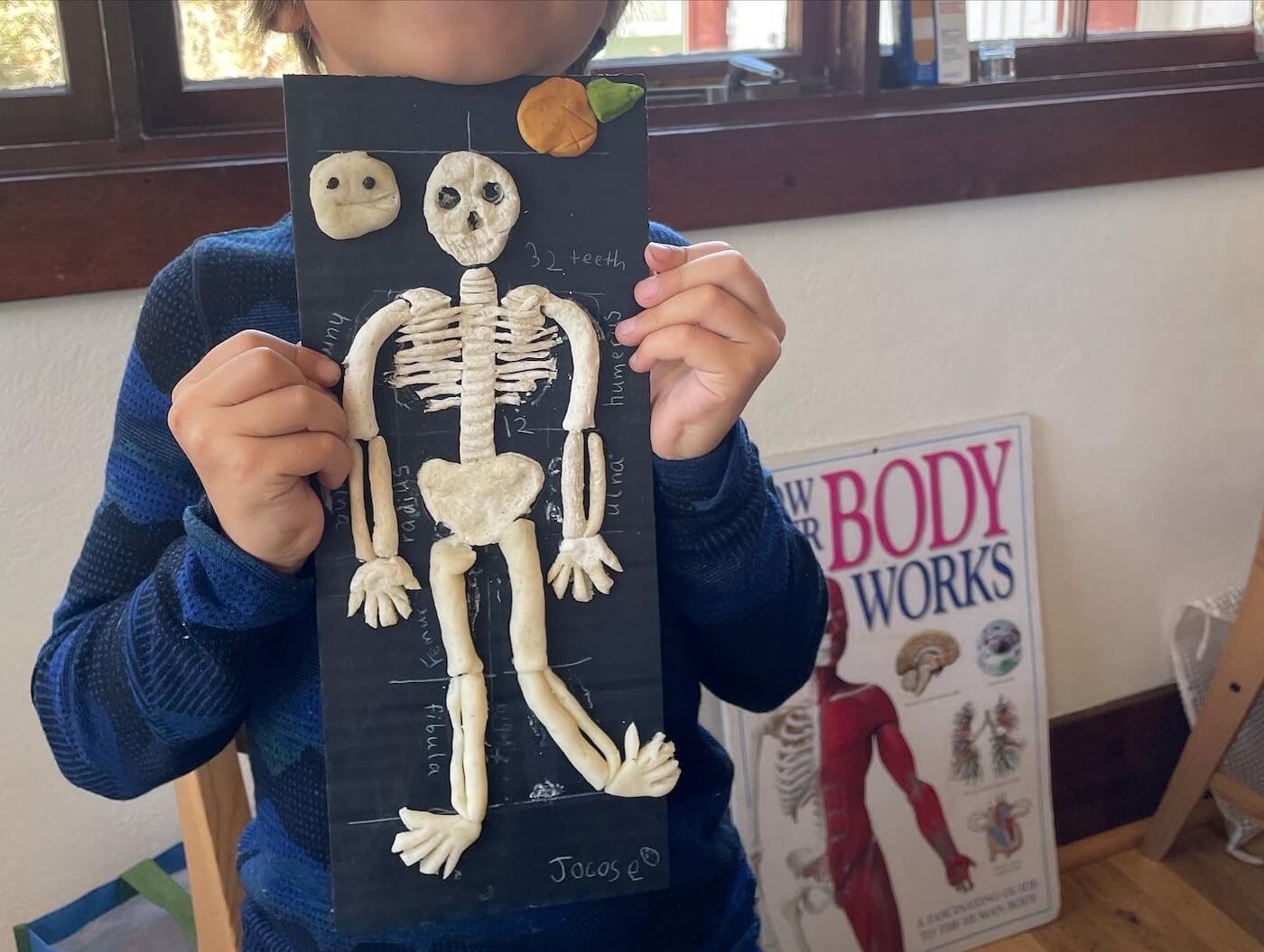 STEAM homeschool enrichment program on anatomy