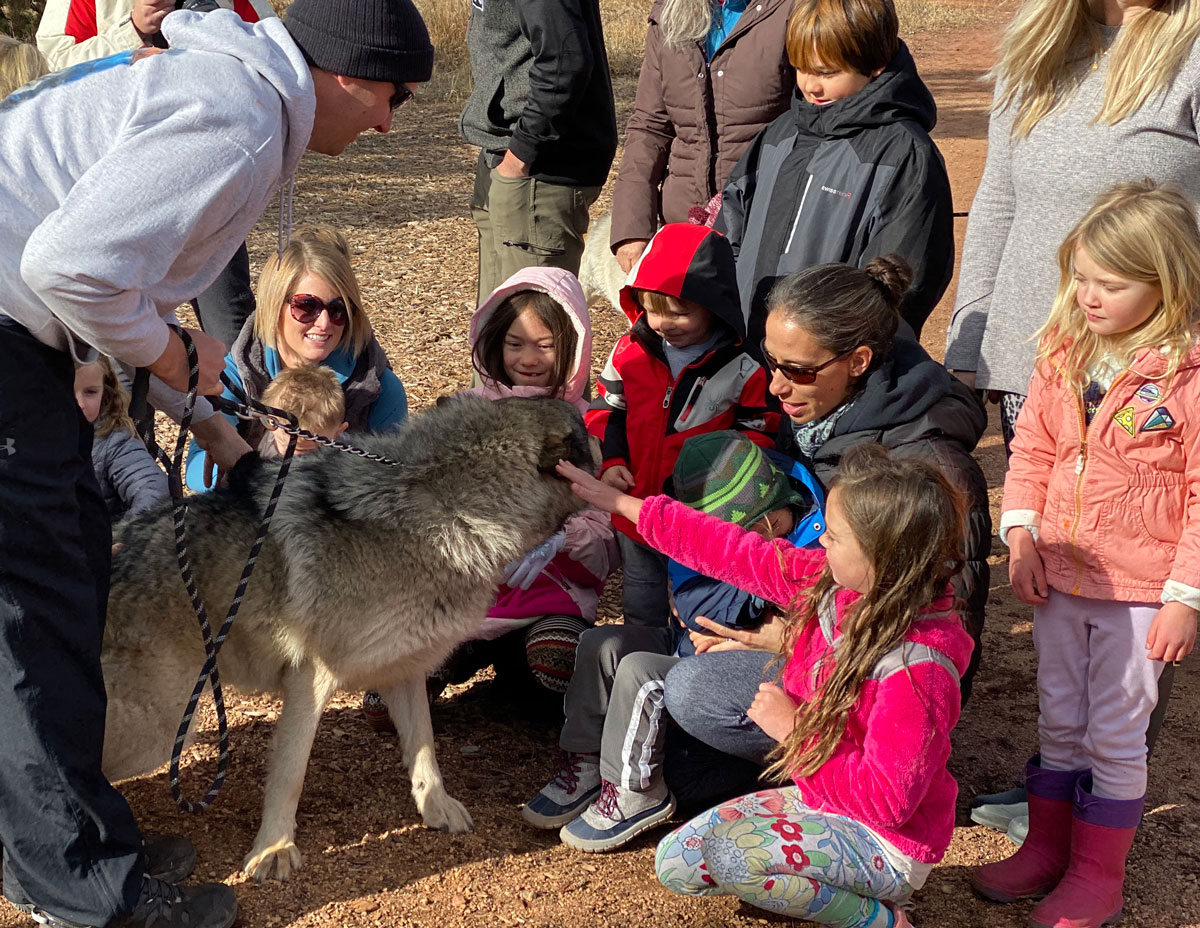 learning about wolves in Colorado Springs Real Red Riding Hoods forest school